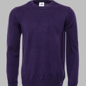Crew Neck Long Sleeves Plain Purple Men Knitwear - Wessi