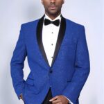 Shawl Lapel Navy Blue Men Dinner Jacket - Wessi