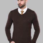 Slim Fit V Neck Long Sleeve Brown Men Knitwear