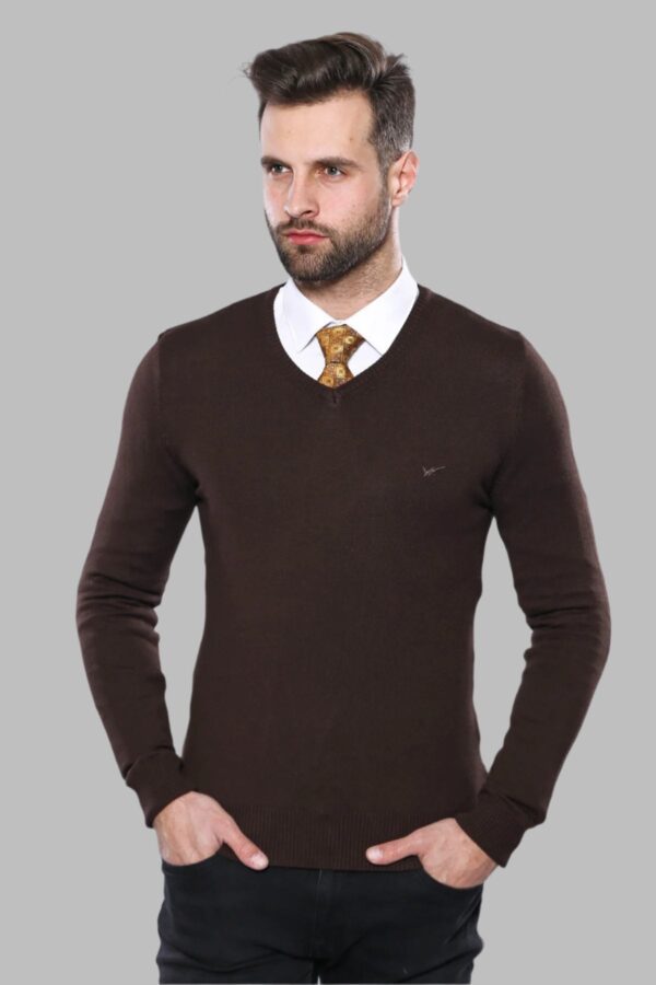 Slim Fit V Neck Long Sleeve Brown Men Knitwear