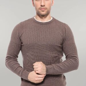 Circle Neck Patterned Mink Men Knitwear - Wessi