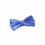 Classic Blue Men Bow Tie - Wessi