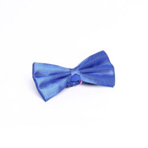 Classic Blue Men Bow Tie - Wessi