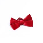 Classic Red Men Bow Tie - Wessi