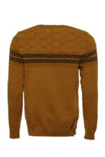 Crew-Neck-Knitwear-Chest-Patterned-Over-Camel-Wessi-1