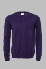 Crew Neck Long Sleeves Plain Purple Men Knitwear