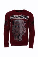 Patterned Slim Fit Brown Men's Sweatshirt