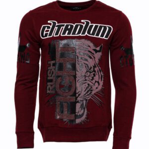 Patterned Slim Fit Brown Men's Sweatshirt - Wessi