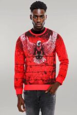 Red-Eagle-Patterned-Slim-Fit-Sweatshirt-Wessi-1