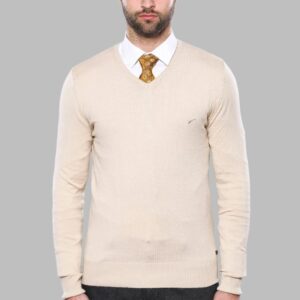 Slim Fit V Neck Long Sleeve Beige Men Knitwear