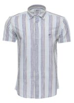 Striped-Short-Sleeves-Men-Blue-Shirt-Wessi-3