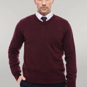 V Neck Burgundy Men's Knitwear - Wessi